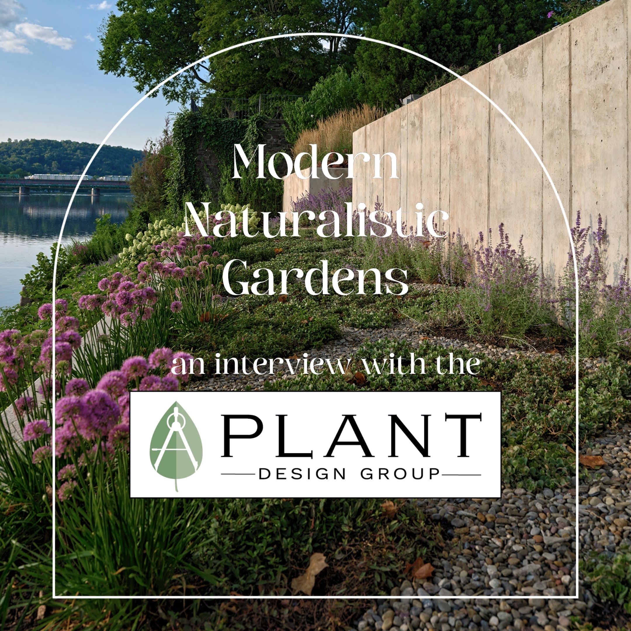 Modern Naturalistic Gardens: An Interview with the Incredible Team at the Plant Design Group
