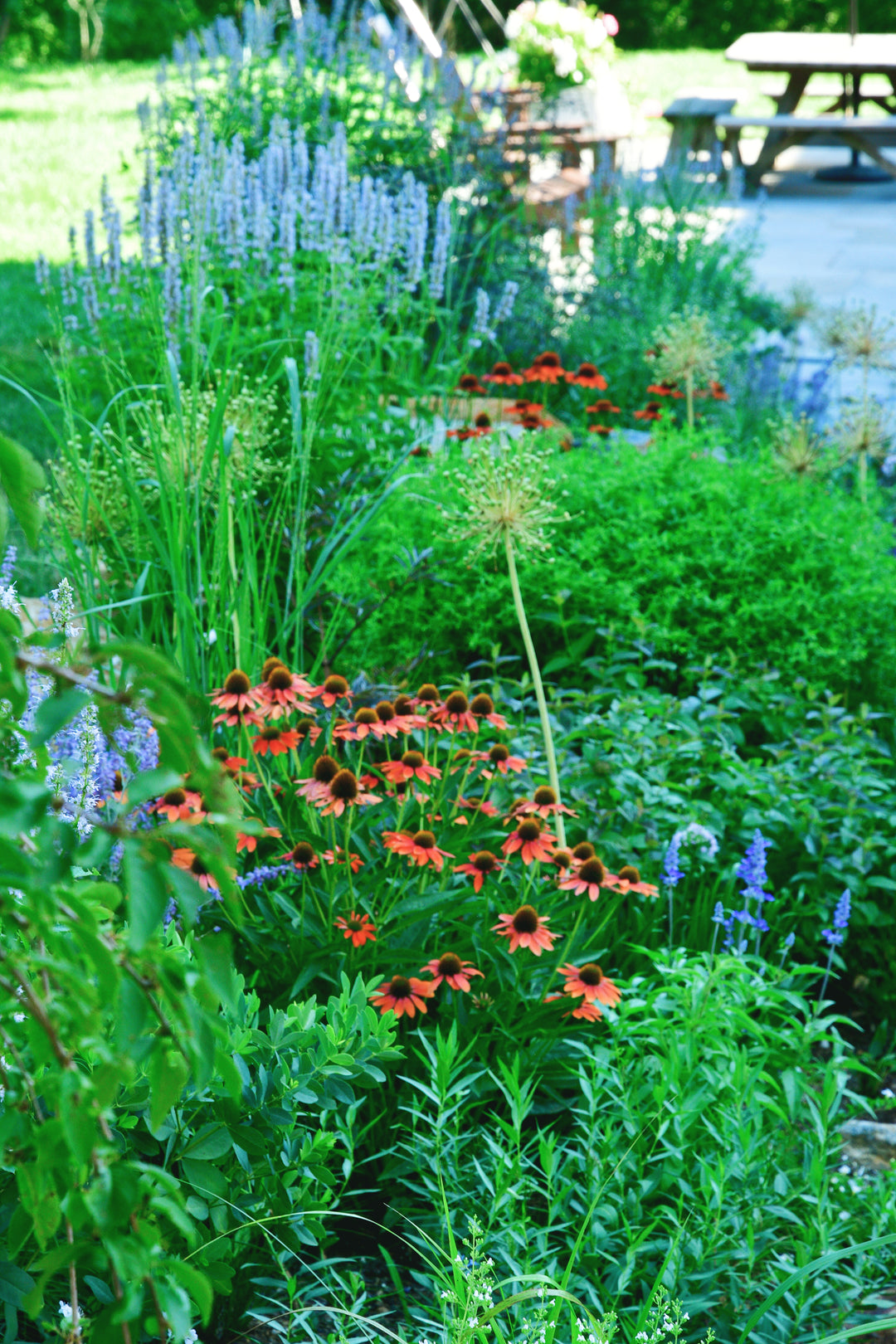 15 Minute Garden Design Consultation