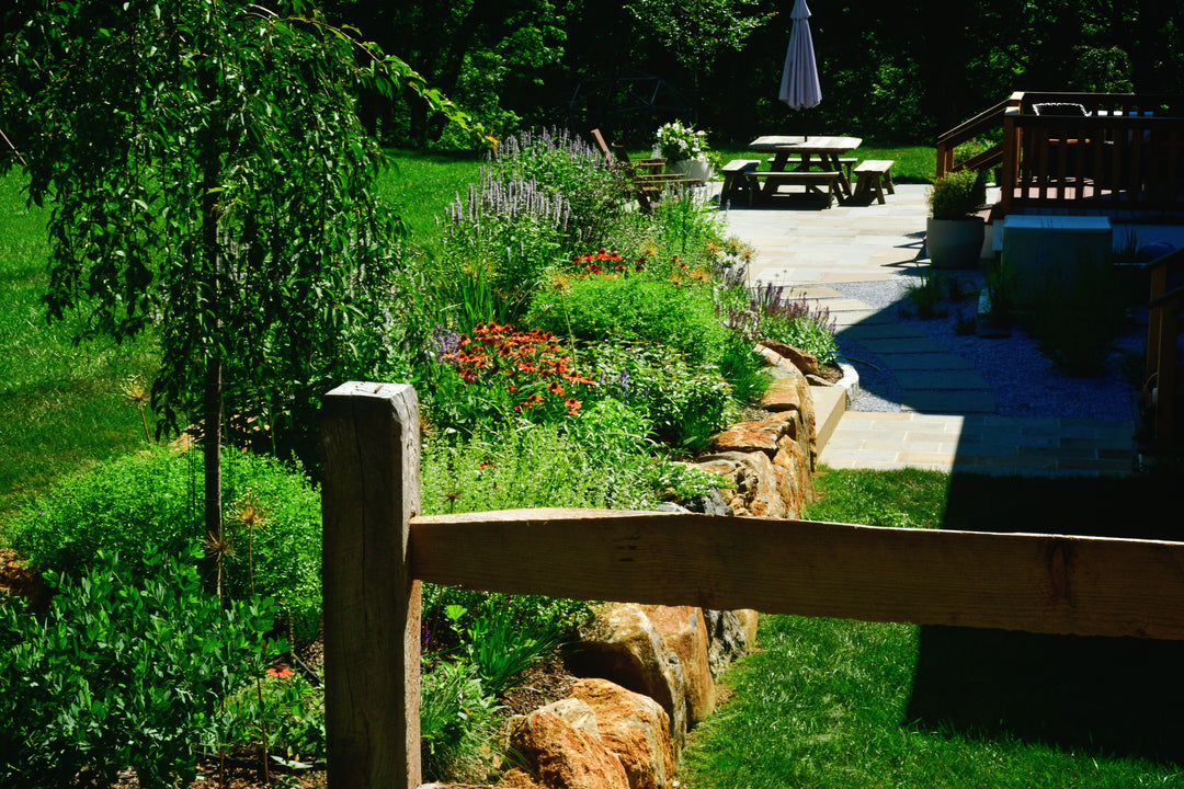 15 Minute Garden Design Consultation
